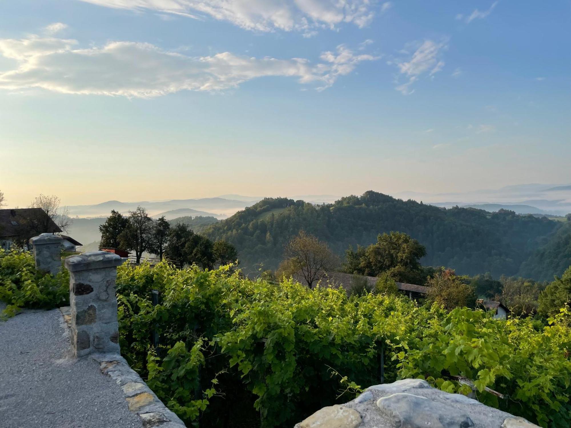 Zerko Holiday Home - Vineyard Chalet With Sauna And Jacuzzi Free Mirna Exterior foto